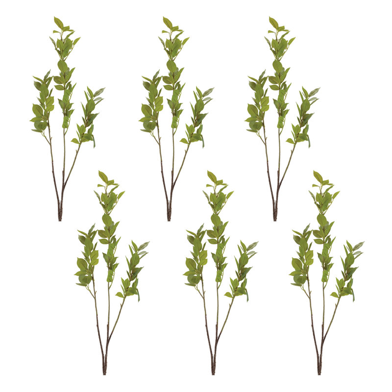 Leaf Foliage Branch