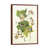Classic Brown Wood Framed