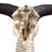 Real Wildebeest Antelope Skull
