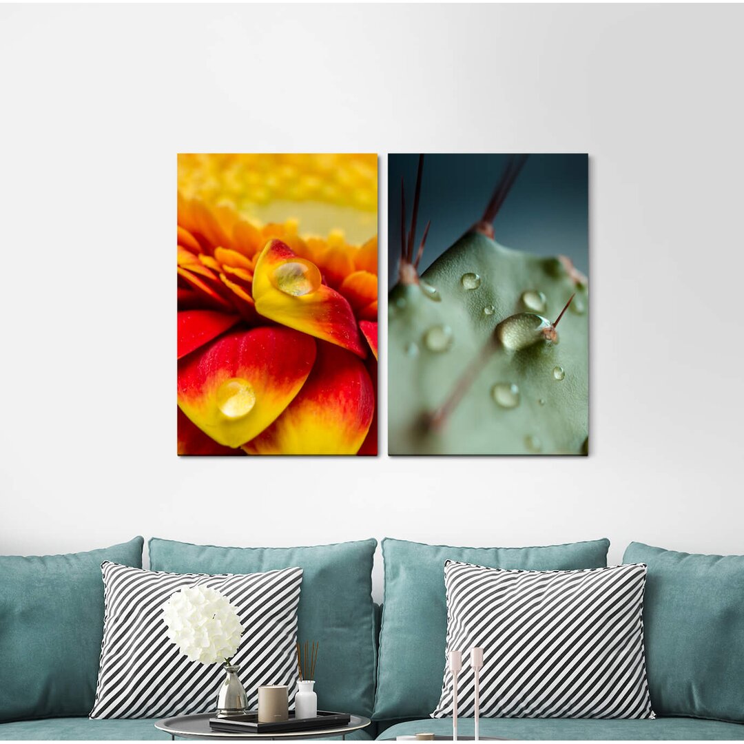 2-tlg. Leinwandbilder-Set - Fotografie „Flower Blossom Cactus Water Drops Green”