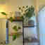 Customer photo 2 of 2