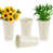 Beige 4Pcs is out of stock