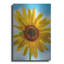 "Garde debout" par Pamela Plummer-811770859
