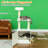 Cat Tree With Litter Box Enclosure