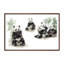 Pandas-52152832-52152824