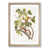 Oak Framed selected