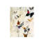 Wings Print-26706691-26706692