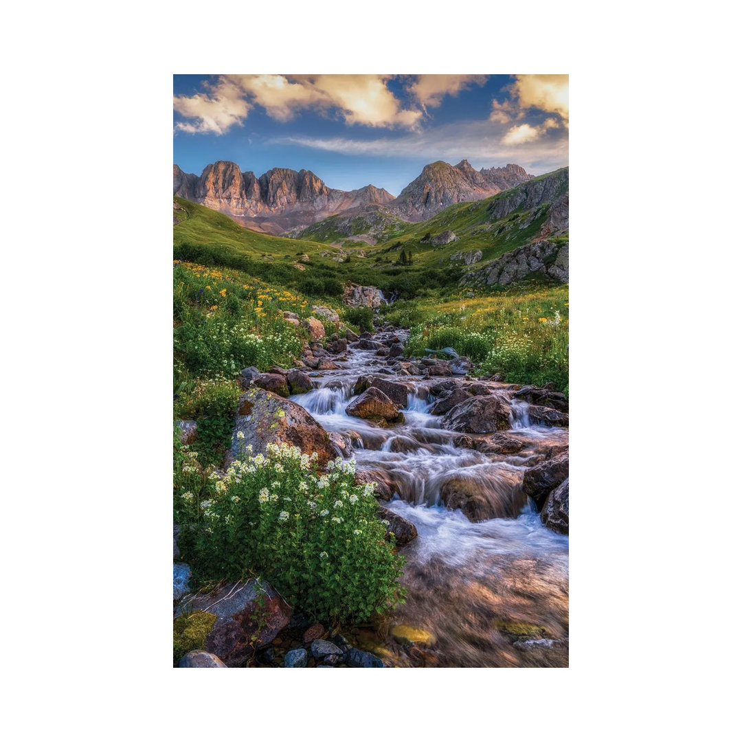 Beautiful Creek Flowing American Basin - San Juan Mountains Colorado Summer Scenery