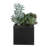 Greystone Indoor-Outdoor Succulent