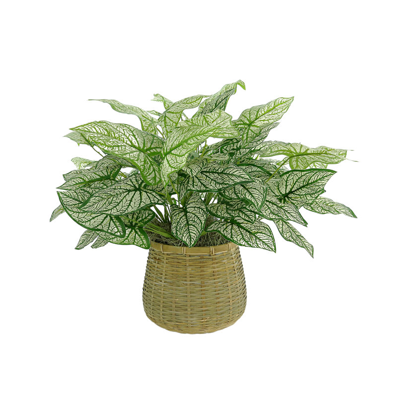 Pot à fleurs d'extérieur en californien