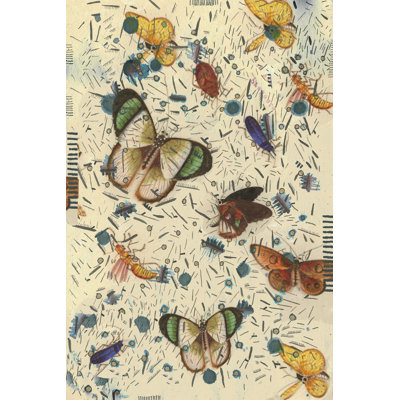 Confetti With Butterflies III - Graphic Art