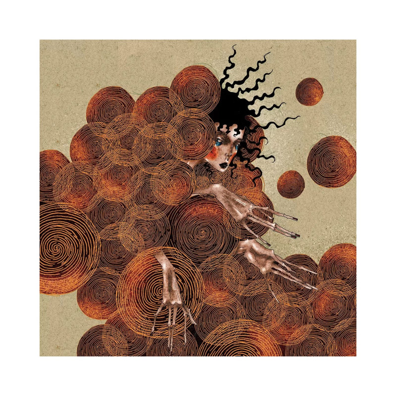Golden Spirals by DEMÖ - Wrapped Canvas Gallery-Wrapped Canvas Giclée, 30.48 cm H x 30.48 cm W