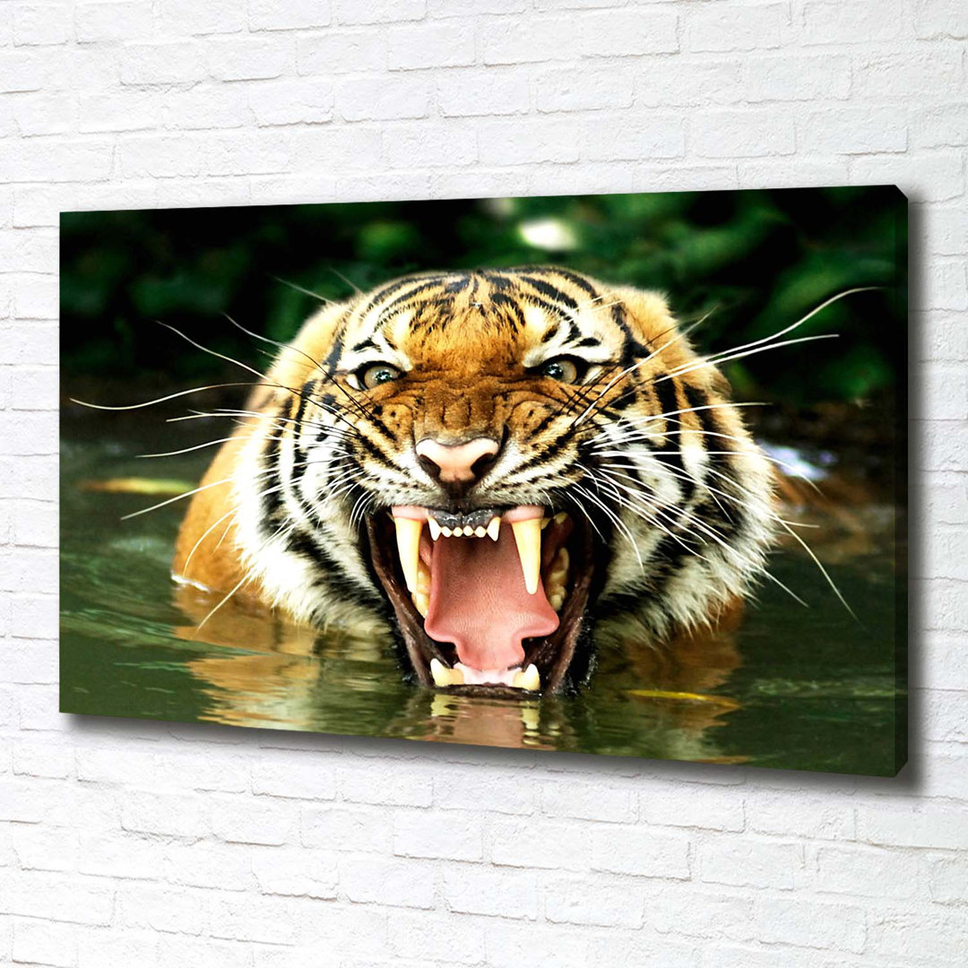 Roaring Tiger - Unframed Art Prints on Canvas