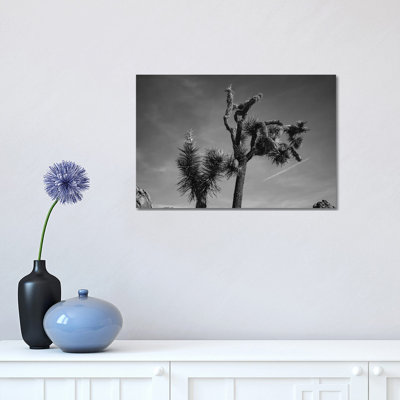 Joshua Tree National Park XXV par Bethany Young - reproduction de photo sur toile tendue