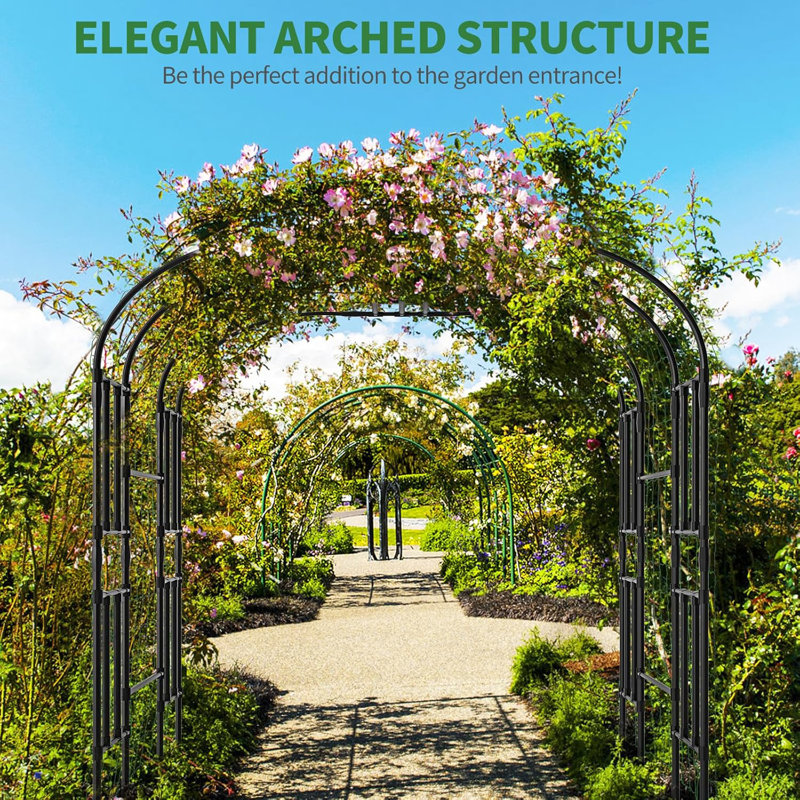 Treillis arqué pour jardin extérieur