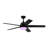 Purab 52'' Ceiling Fan with LED Lights-602551314