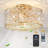 Cage Style Ceiling Fan With Light-1654504969