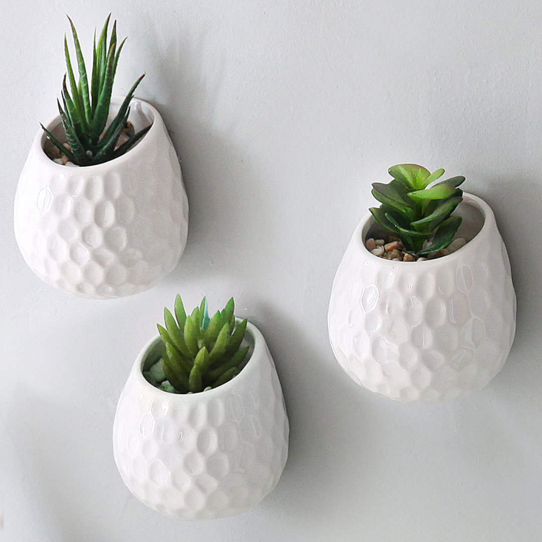 Maiorano Ceramic Wall Planter (Set of 3) Corrigan Studio®