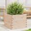 2 Wood Planter-100491928-100491941