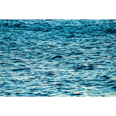 Blue Chop Photographic Print by Ted Glasoe