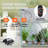 Shauri Plug-in Pump