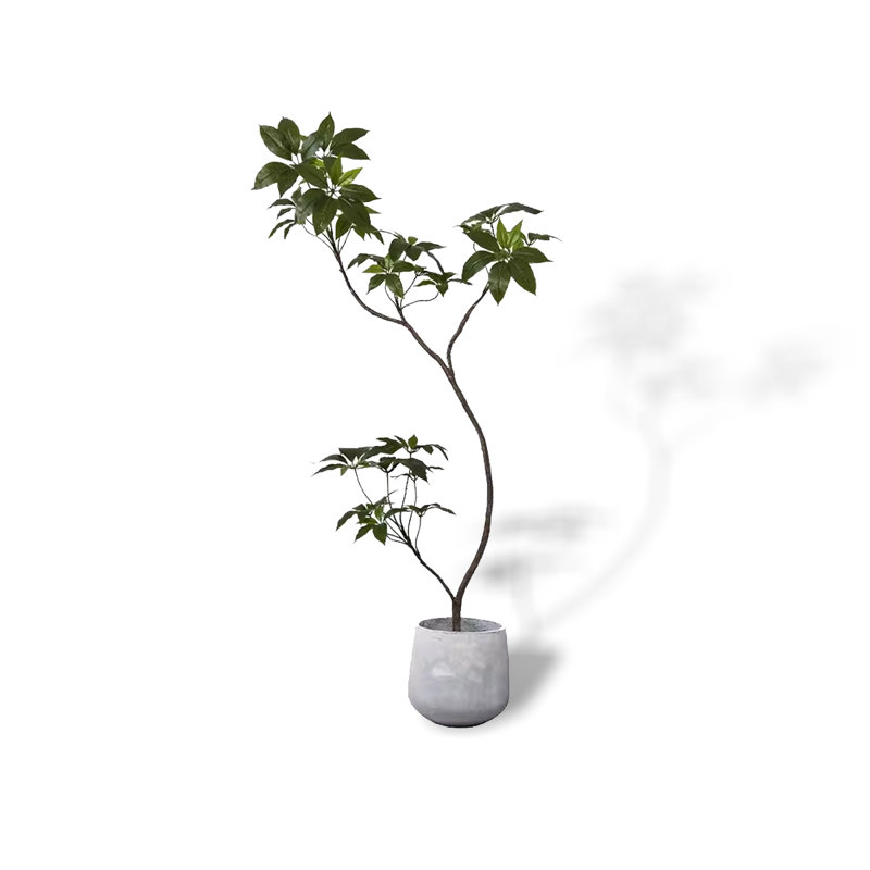 Plante d'intérieur en pot vert clair, H 86,61 po x l 9,45 po x P 9,45 po