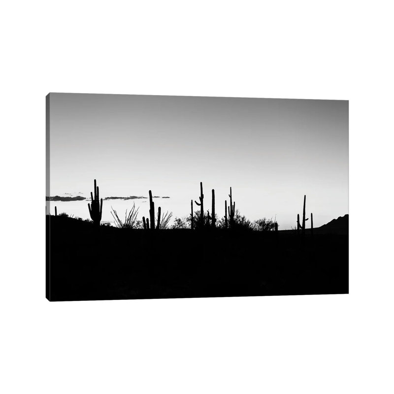 Sunset Cactus Skyline by Philippe Hugonnard - Wrapped Canvas Print, 20.32 cm H x 30.48 cm W