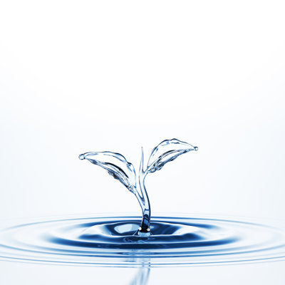 Water Sprout Splash par Blackjack3D