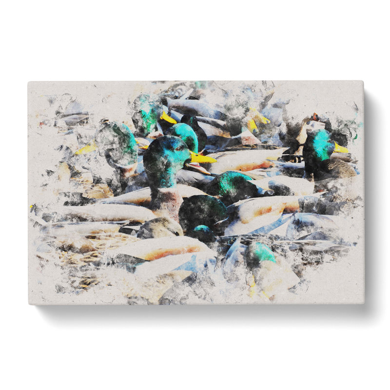 Mallard Ducks - Wrapped Canvas Print, 35cm H x 50cm W x 3cm D