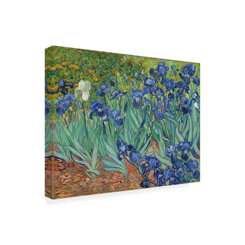 Décoration murale d'extérieur Agis Iris, 1889, L 19 po x H 14 po