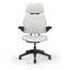 Freedom Headrest Ergonomic Task Chair - Lotus-1905901008