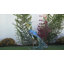 Animals Weather Resistant Metal Garden Statue