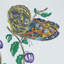Baudin Butterfly Chintz Fabric-49396790