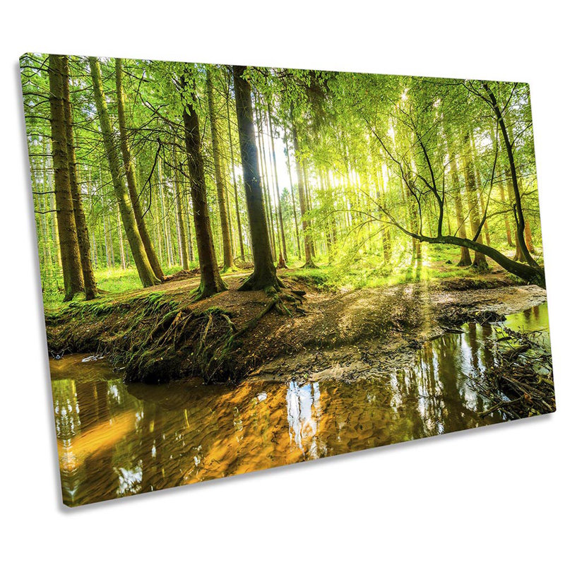 Forest River Creek Sunset - Wrapped Canvas Print, 40.6cm H x 61cm W