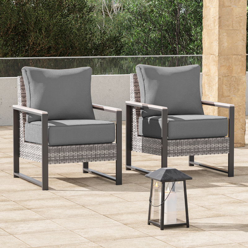 2 Piece Rattan Patio Sofa Set with All Weather Wicker, Gray