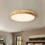 Damiyon 1-Light LED Flush Mount-295102890
