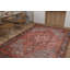 Tapis oriental en coton / polyester tissé à la machine Sheali-1285937394