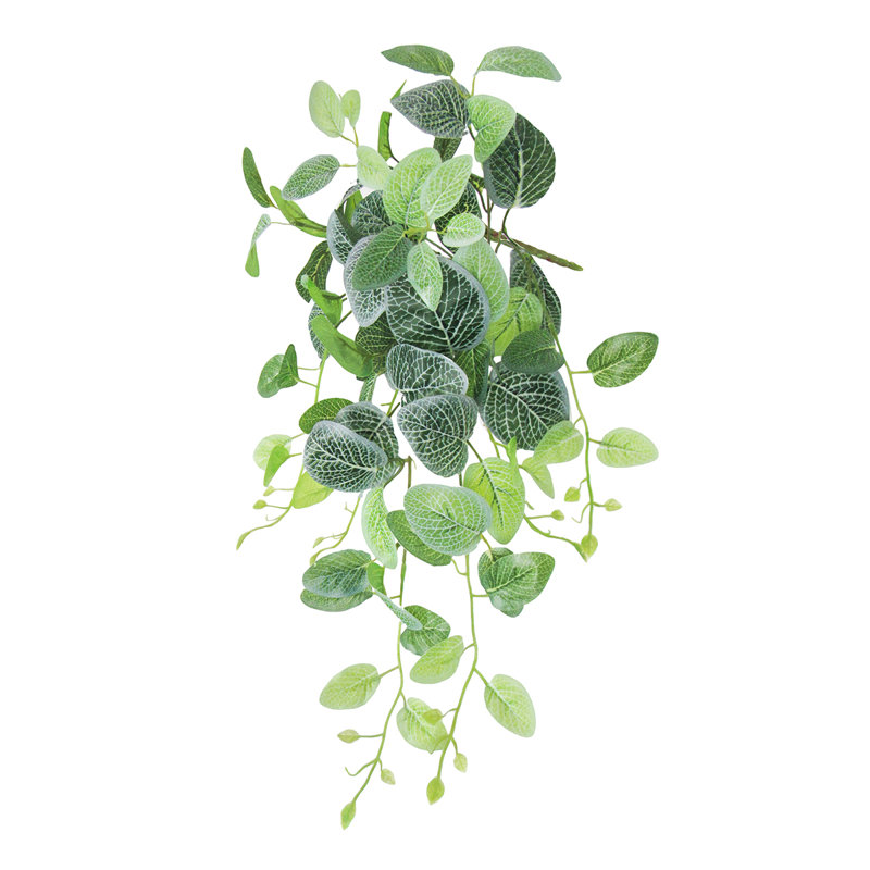 Plante artificielle suspendue lierre Fittonia, H 24 po x l 12 po x P 6 po