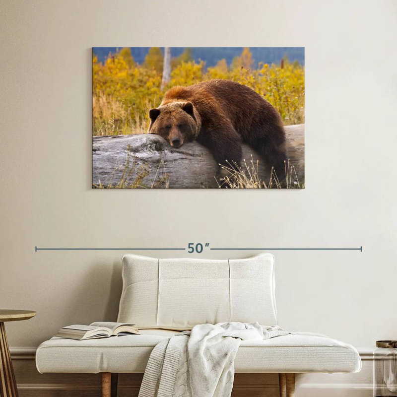 Brampt Resting Grizzly Bear, 26" H x 39" W