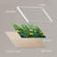 «Botanical Garden Vibrant Floral» sur papier-98266484-98266483