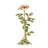 Eternity Rose Objet