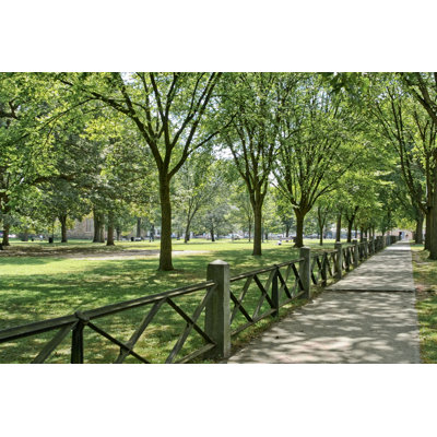 A Sidewalk by Nancykennedy - Wrapped Canvas Print