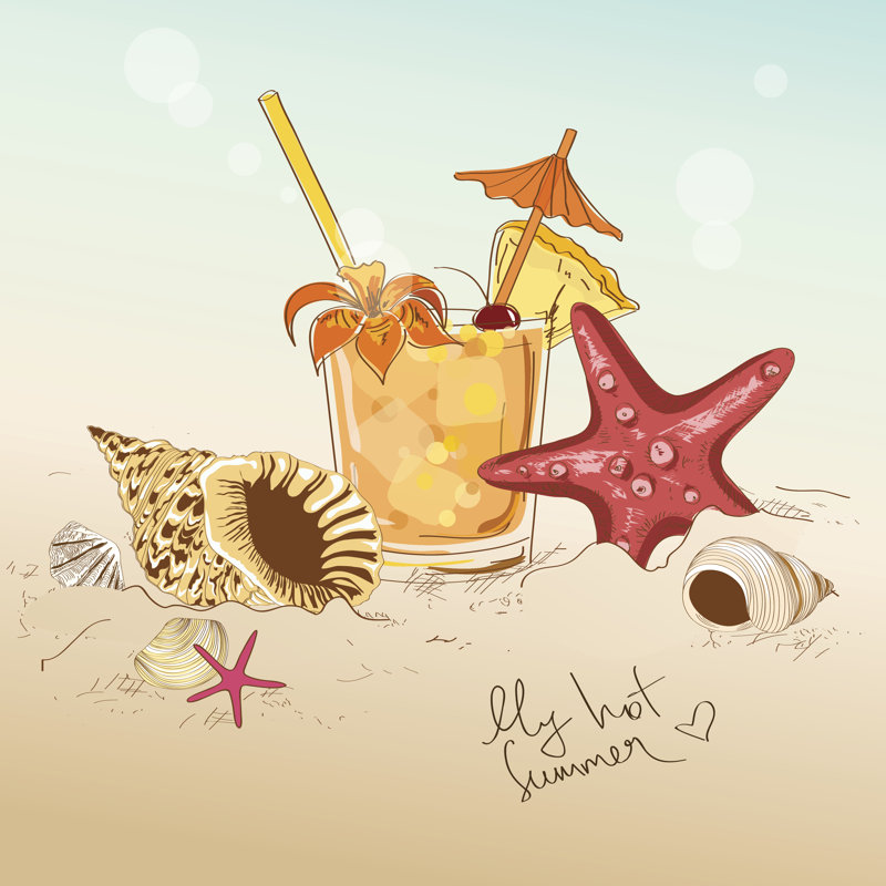 Illustration With Seashells, Starfish And Cocktail - Wrapped Canvas Print, 30cm H x 30cm W x 3.8cm D
