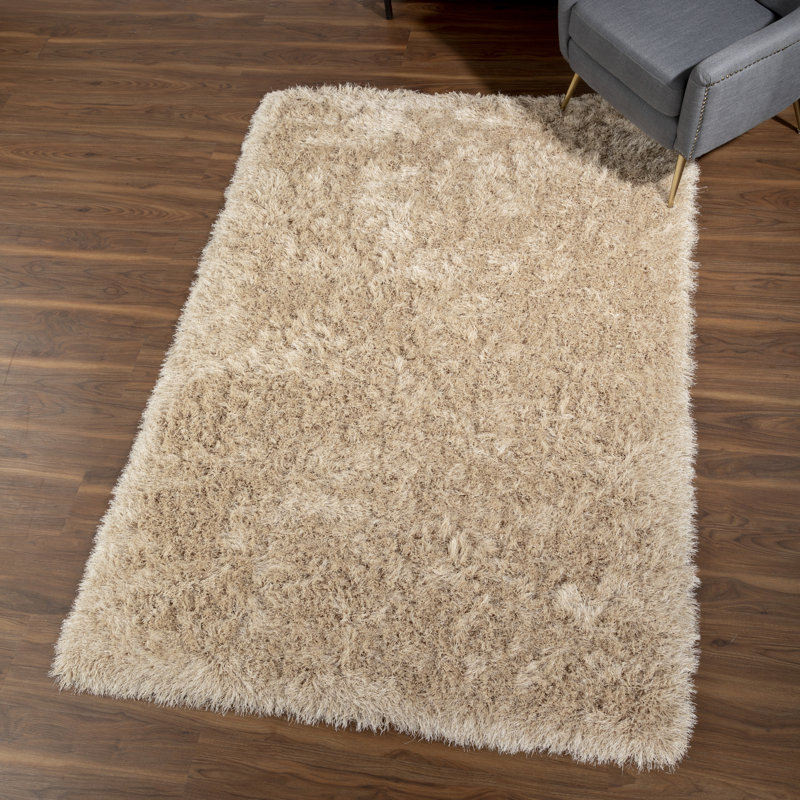 Tapis beige touffeté à la main Petrey, Rectangle 8 pi x 10 pi