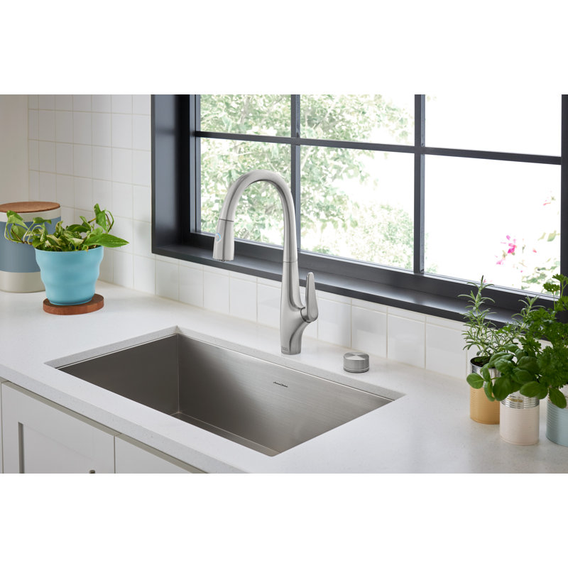 Robinet de cuisine à poignée simple Saybrook avec accessoires, Acier inoxydable