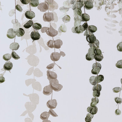 2 décorations d'eucalyptus encadrées - ajoute une touche d'élégance à l'art mural du couloir