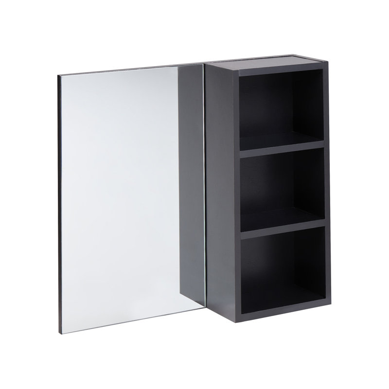 Bathroom Wall Mounted Mirror Cabinet JOINVILLE 60 cm 54 cm, Black