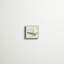 «Sea Dream Shells II» par Vision Studio, reproduction d'art sur toile-853695793-853695805