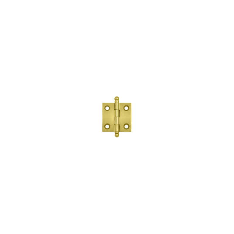 Hinge, PVD Polished Brass
