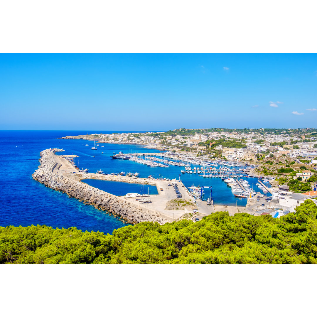 Porto di Leuca-1010029556